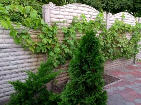 будинок за адресою Старочумацька вул. (Байкальська)