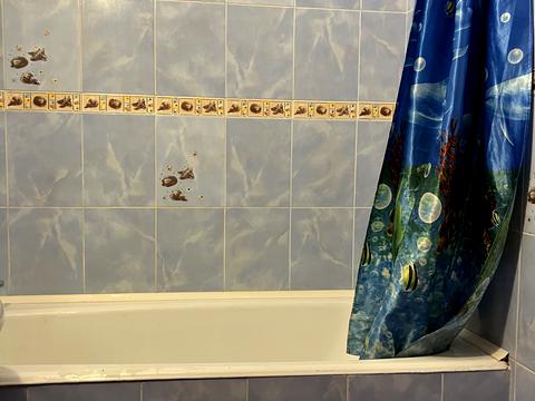 квартира по адресу Свободы просп., 1/60-А