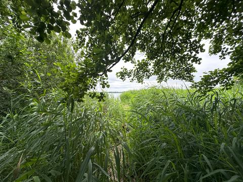 участок по адресу Масив Рибаче