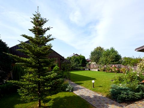 будинок за адресою Гончара