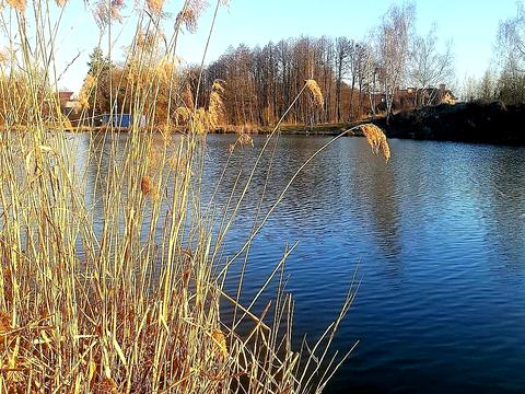 будинок за адресою Ожинова, 78