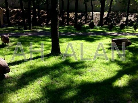 будинок за адресою Ватутіна пров.