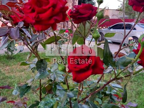 дом по адресу Сеноманський