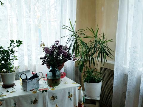 будинок за адресою Вчительська