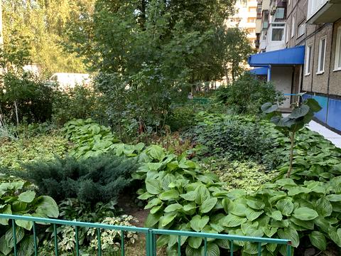 квартира за адресою Калинова вул., 76
