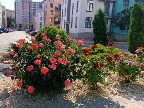 квартира за адресою Соборна вул., 103/19
