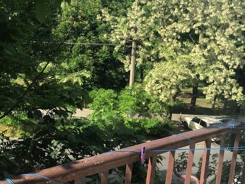 квартира по адресу Академическая ул. (Пионерская), 26а