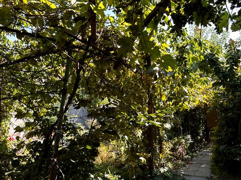 будинок за адресою Немировича Данченко, 3