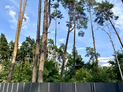 дом по адресу Киево-Мироцкая ул.