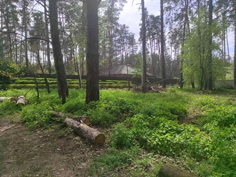 участок по адресу Лісова