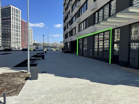 комерційна за адресою Всеволода Змієнка вул., 34/21