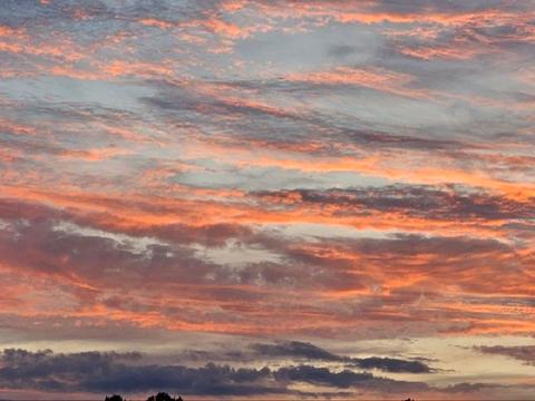 ділянка за адресою 2 Садовий пров., 23