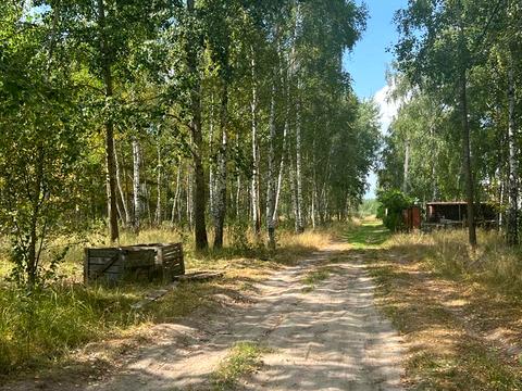 участок по адресу 