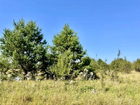 участок по адресу 