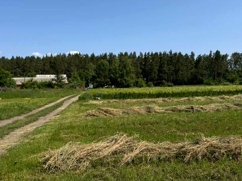 участок по адресу с. Агрономичное, масив Садовий