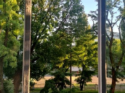 квартира за адресою Харківське шосе, 146