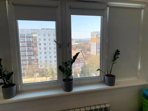 квартира по адресу Минайская ул., 10