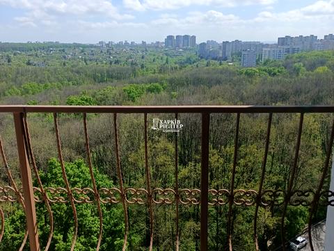 квартира по адресу Победы просп., 66з