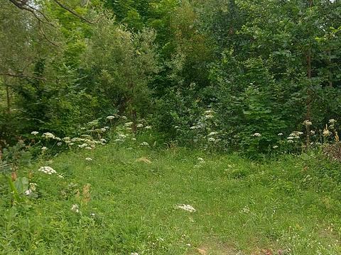 участок по адресу 