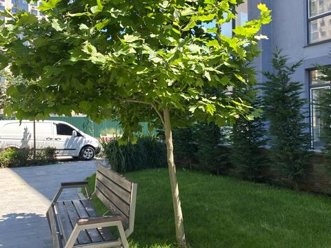 квартира за адресою Марсельська вул., 33в