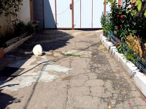 будинок за адресою Карабінерна вул.