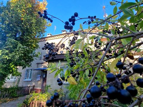 квартира за адресою Магдалинівська вул., 4