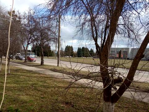 квартира за адресою Князя Острозького вул., 12