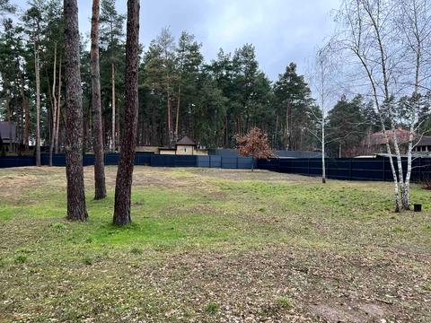 участок по адресу Сосновый Бор ул.