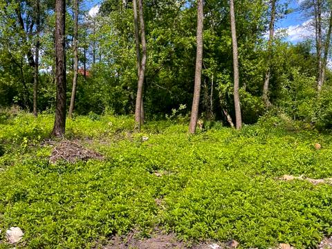 ділянка за адресою Садова вул.