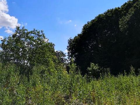 участок по адресу Парниковая ул., 20