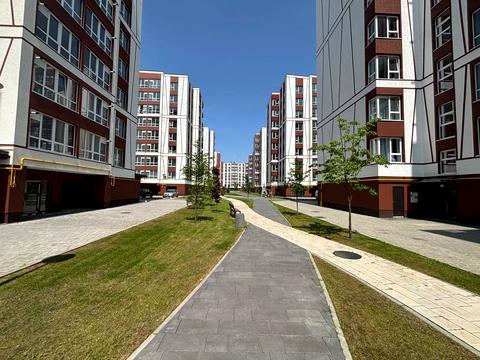 квартира за адресою Отця Івана Блавацького вул., 18, к.14