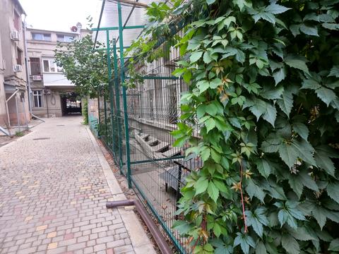 квартира за адресою Пантелеймонівська вул., 10