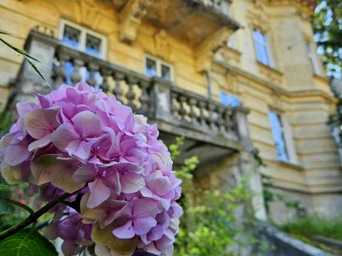 квартира по адресу Ивана Франко ул., 115