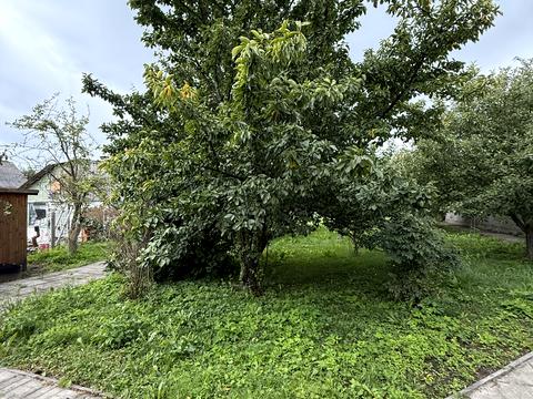 будинок за адресою Центральна, 23