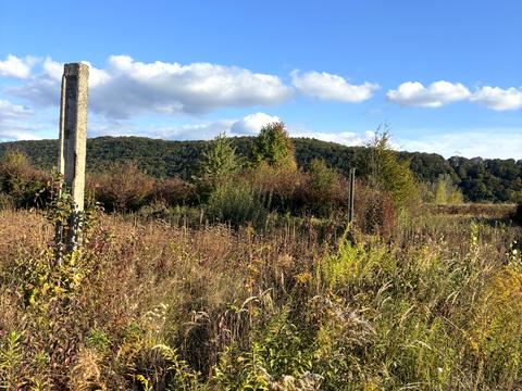 ділянка за адресою Вишнева