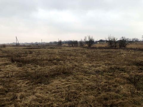 ділянка за адресою с. Новоселівка, Озерна