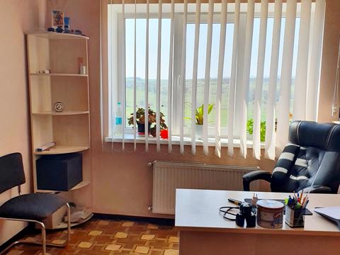 комерційна за адресою с. Ручаївка, Шевченка, 1а