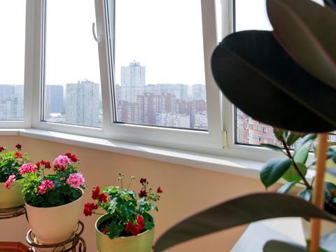 квартира за адресою Срібнокільська вул., 12