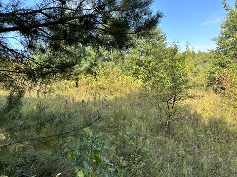 ділянка за адресою 