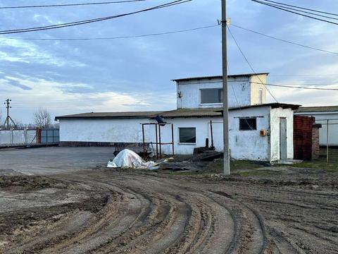 коммерческая по адресу Куцівка, 88