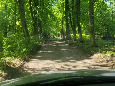 будинок за адресою с. Каменка, Хутірська, 7