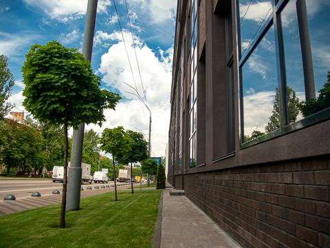 коммерческая по адресу Елены Телиги ул., 6