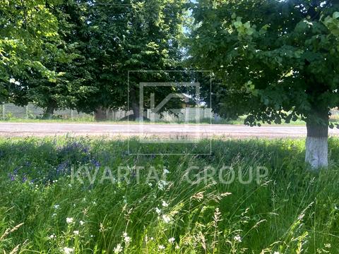 ділянка за адресою Липова