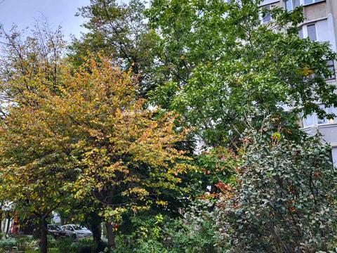 квартира по адресу Архитекторская ул., 85