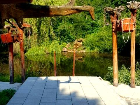 комерційна за адресою Собранецька вул., 2