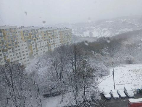 квартира по адресу Лисеницкая ул., 9