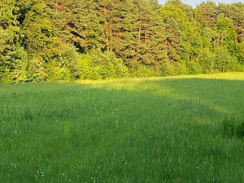 ділянка за адресою Львівська, 12