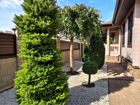 будинок за адресою Трояндовий пров.