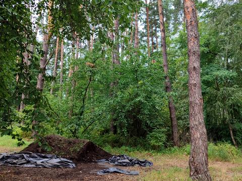 ділянка за адресою кичєївська