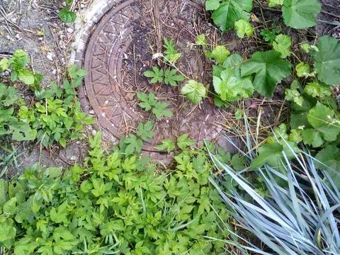 будинок за адресою Білицька вул.